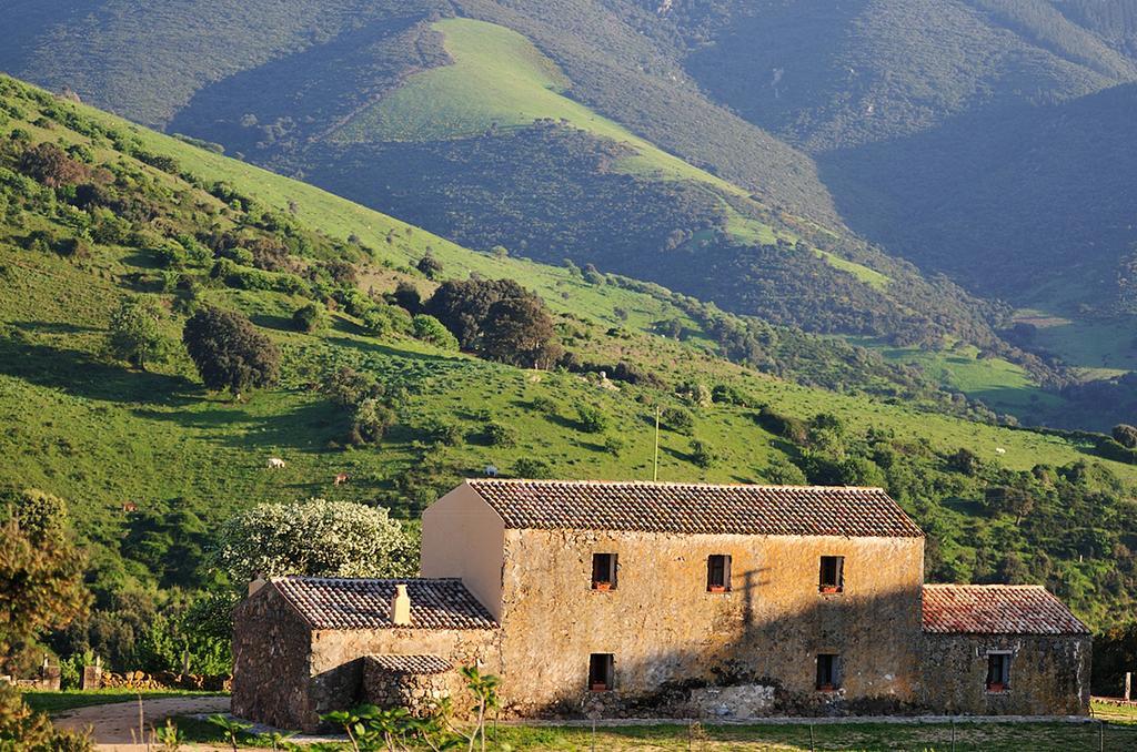 Stazzu Coiga Villa Aggius Dış mekan fotoğraf