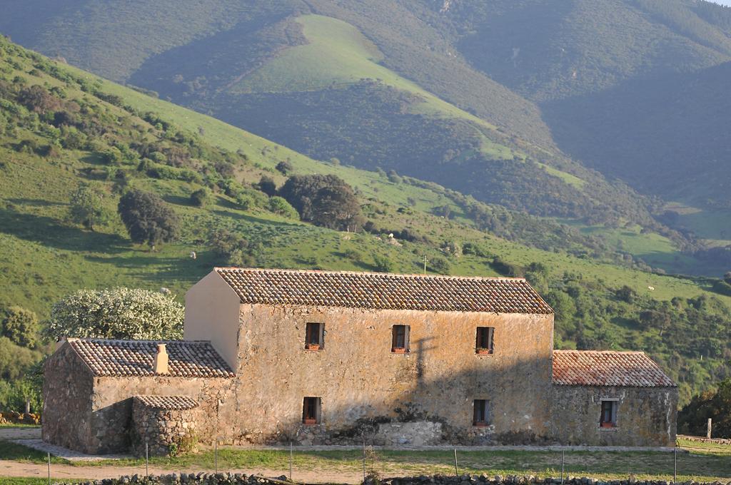 Stazzu Coiga Villa Aggius Dış mekan fotoğraf